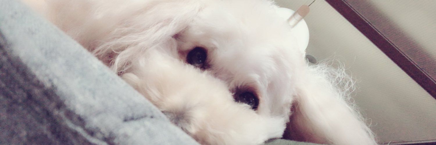 mamy430's profile banner image
