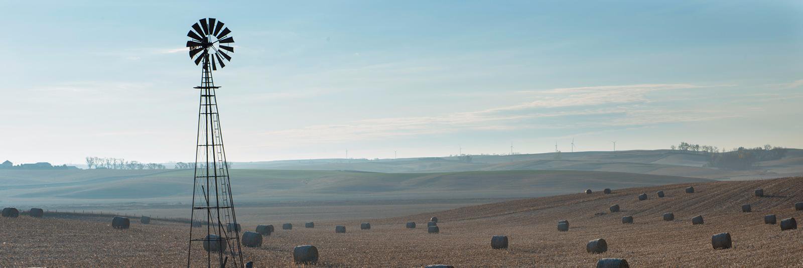successfulfarm2's profile banner image