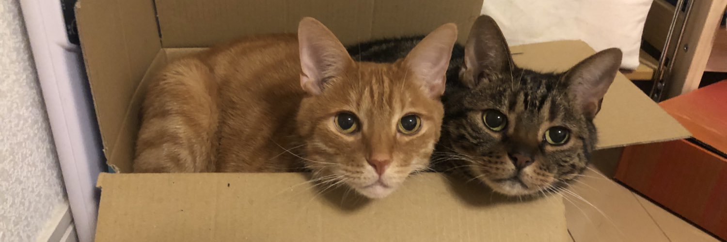 アイナリ@ケマミレン banner