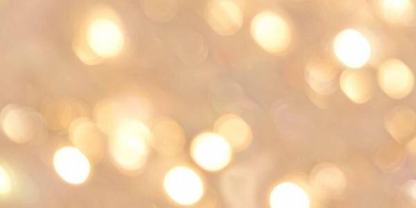 GatorGrl's profile banner image