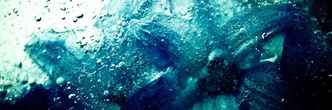 Beckflash Fotografie banner