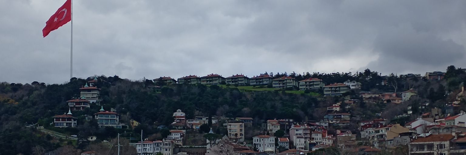 taliithazoza's profile banner image