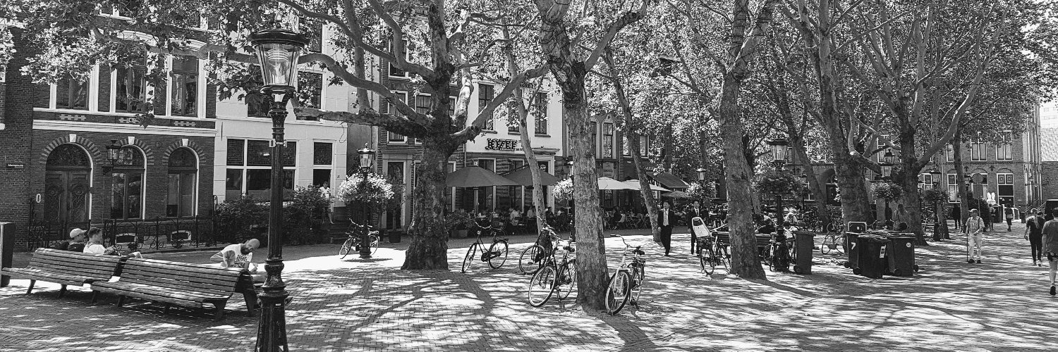 violarondeboom's profile banner image
