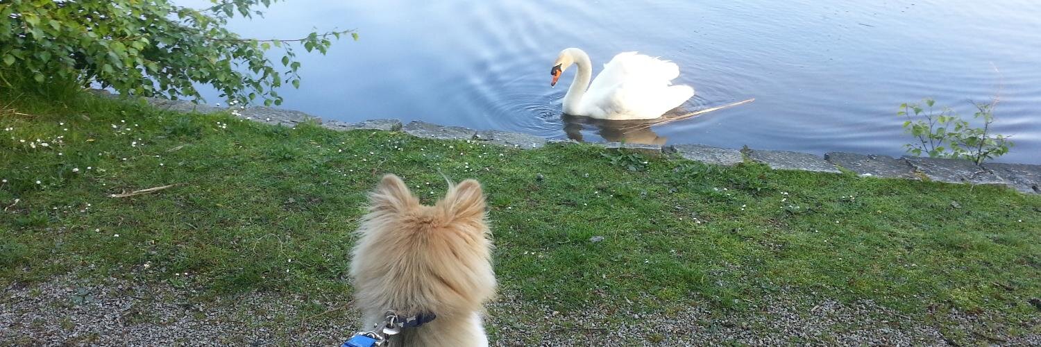 Jim Pick 🦋 banner