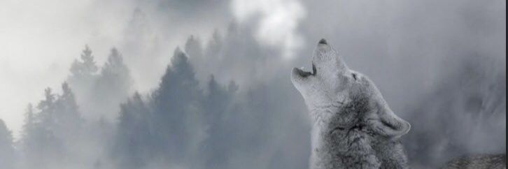 Cryptohustler_3's profile banner image