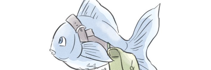 ushi_dq's profile banner image