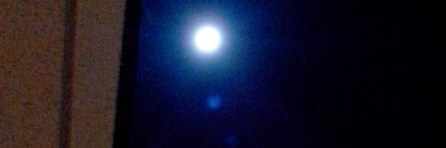 couchmimoza's profile banner image