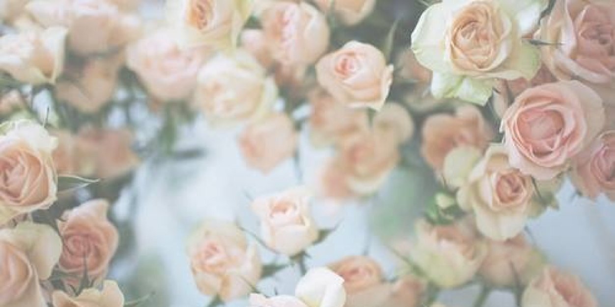 Cat_it_tude's profile banner image