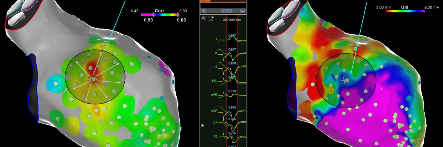 Cardiac Physiology in Practice banner