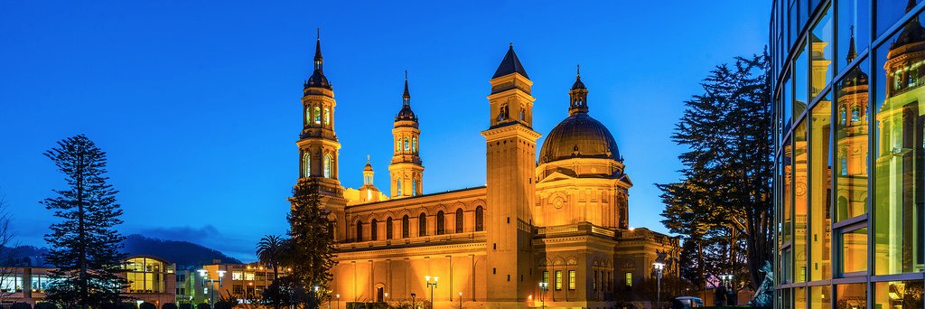 USF English Dept. banner