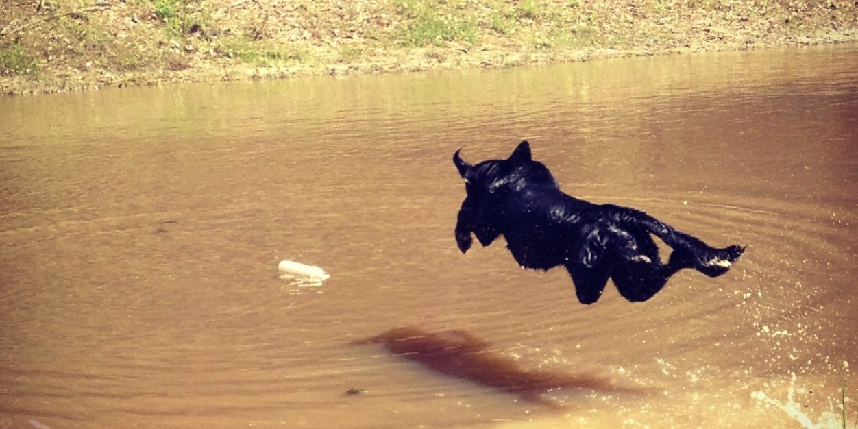 ElliotSmith_10's profile banner image