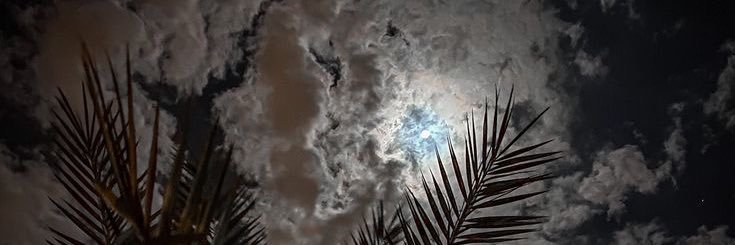 corean212's profile banner image