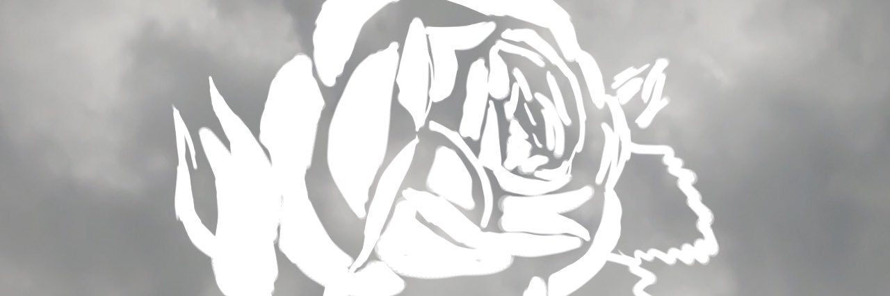 TaylorShantell's profile banner image