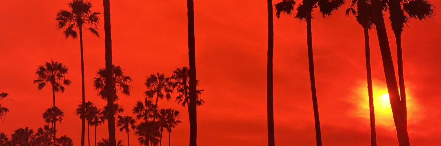 zit_zilla's profile banner image