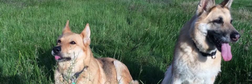 M41L_x's profile banner image