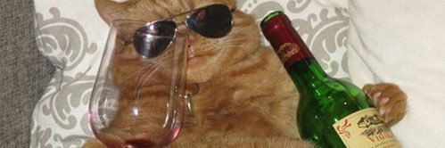 Drainganger1783's profile banner image