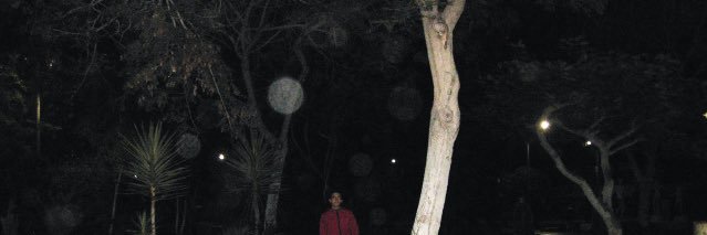 pachimp_'s profile banner image