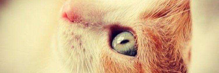 duyguyakin's profile banner image