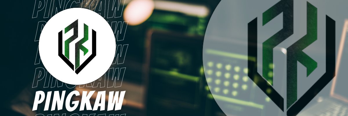 PingkawNFT's profile banner image