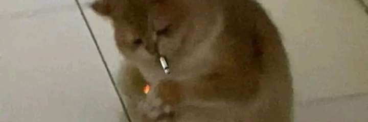 xJorgeCuevasx's profile banner image