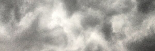 labolito Profile Banner