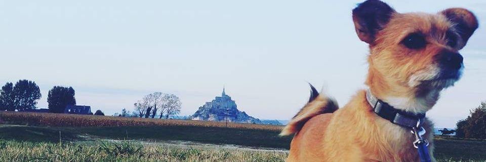 DavyDelmotte's profile banner image