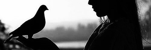 5Loleta's profile banner image