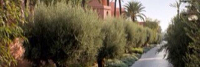 RayanB2o05's profile banner image