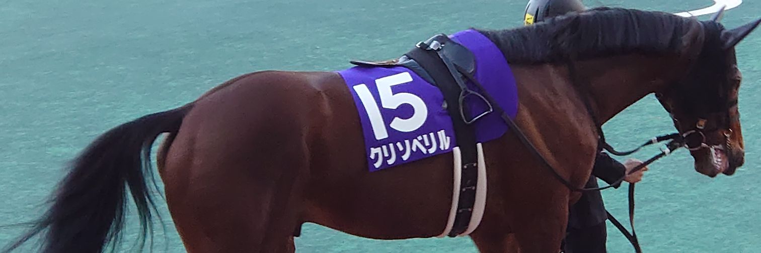 リンプマン banner