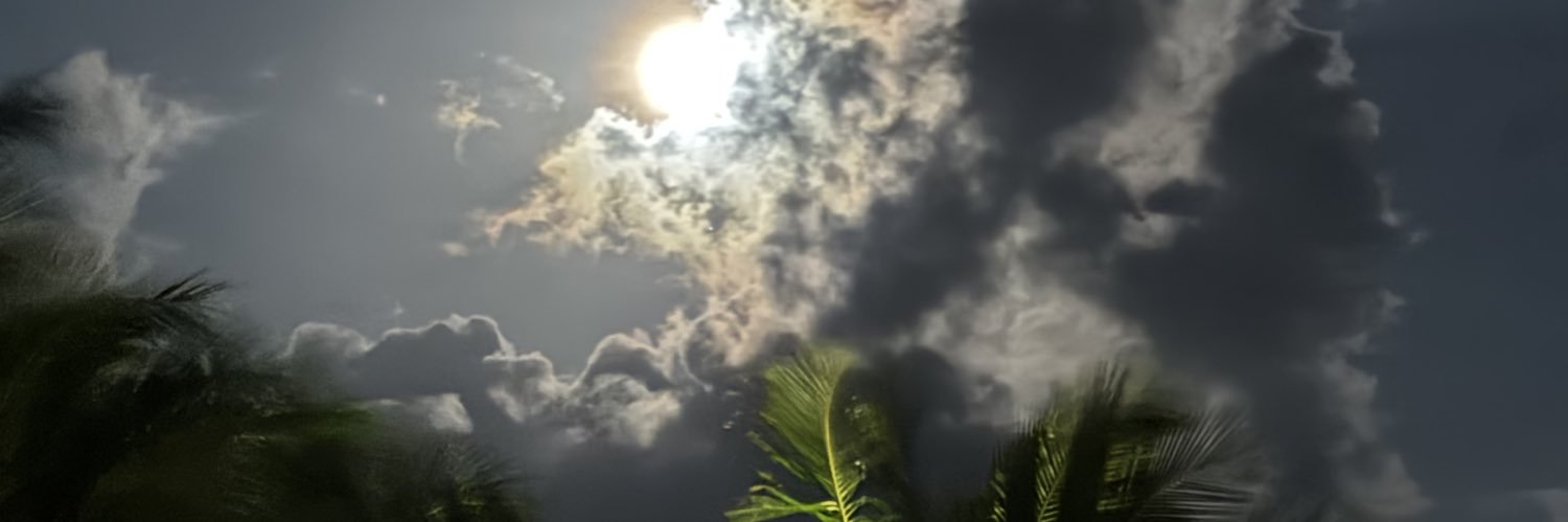 bob_dory's profile banner image