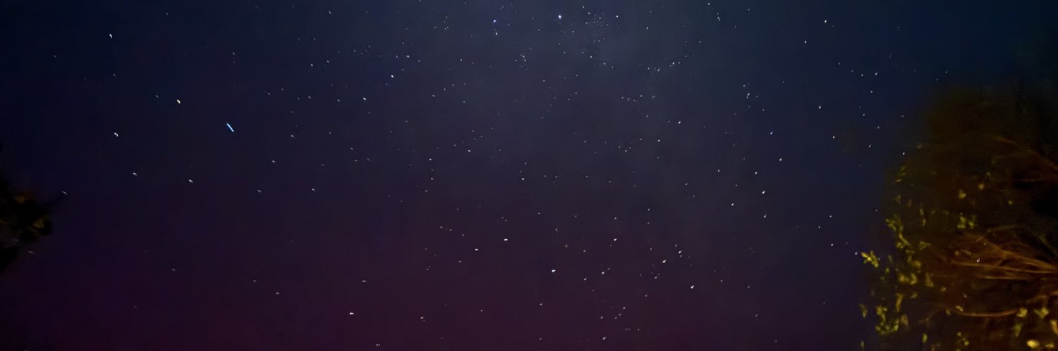 SWEET ⭐️ HONEY ⭐️ BUCKIIN’ TYRANT banner