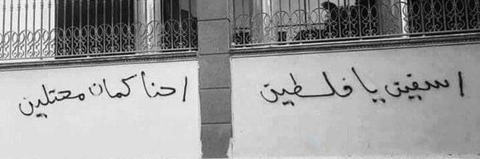 Sheref_Hamouda's profile banner image
