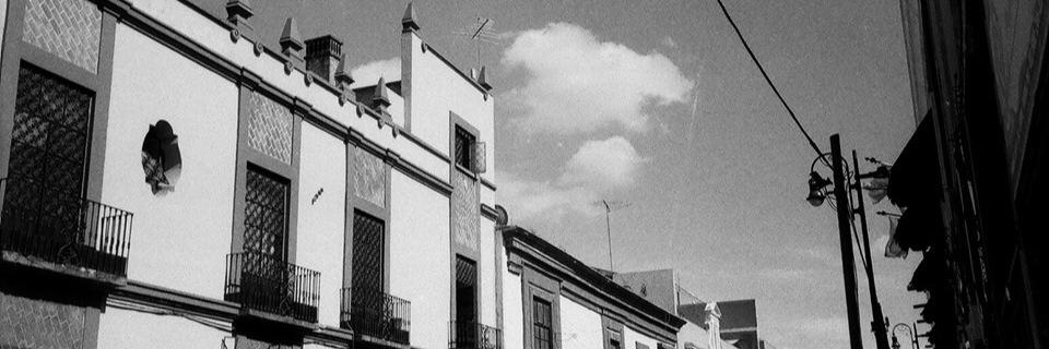 iR_Oliva's profile banner image