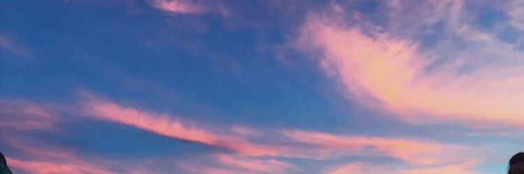 stephholiveira's profile banner image