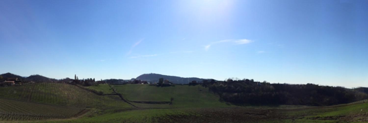 stefjackgio's profile banner image