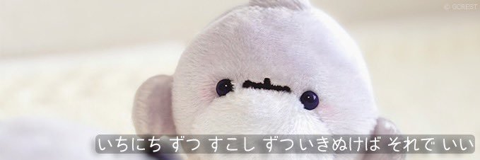 1wey6's profile banner image