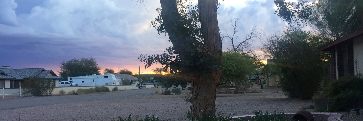 tnochelt's profile banner image