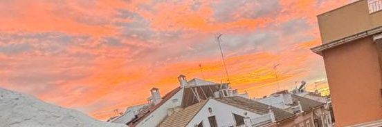 elenaa✌🏼 banner