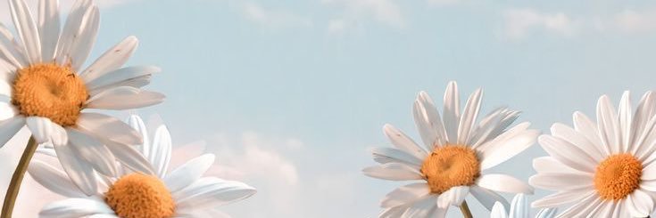 shinebrightdr's profile banner image