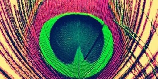 MissLissaStone's profile banner image