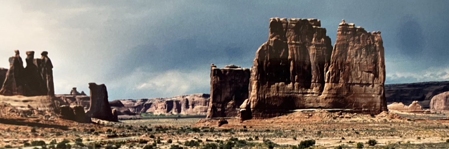 Linda Lee Williams banner