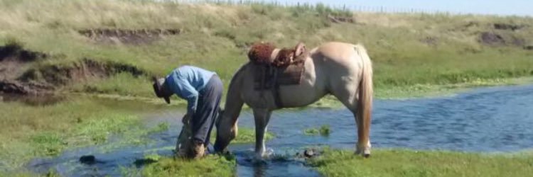 Alvaro Mazzilli banner