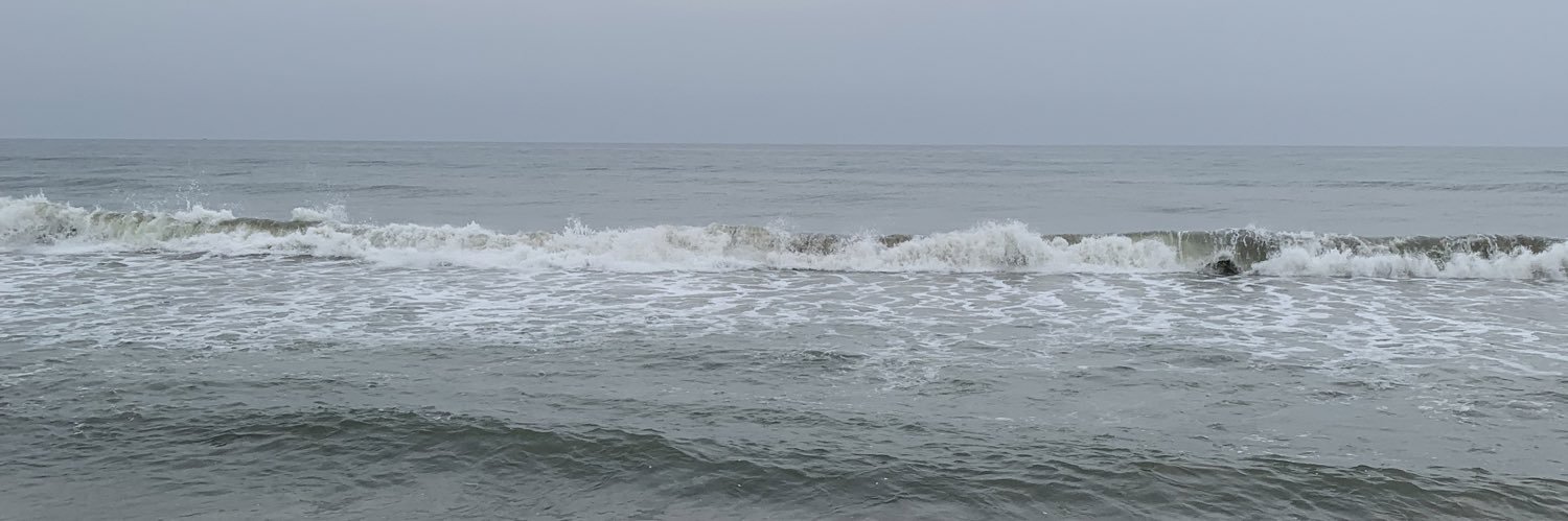 Ashwin Ramasamy banner