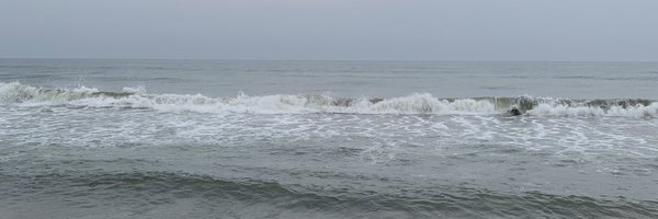 Ashwinizer Profile Banner