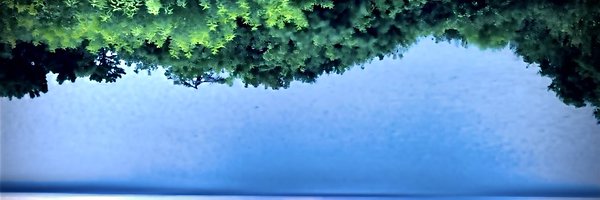 ReportingfromNY Profile Banner