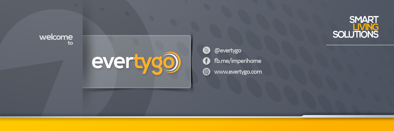 evertygo banner