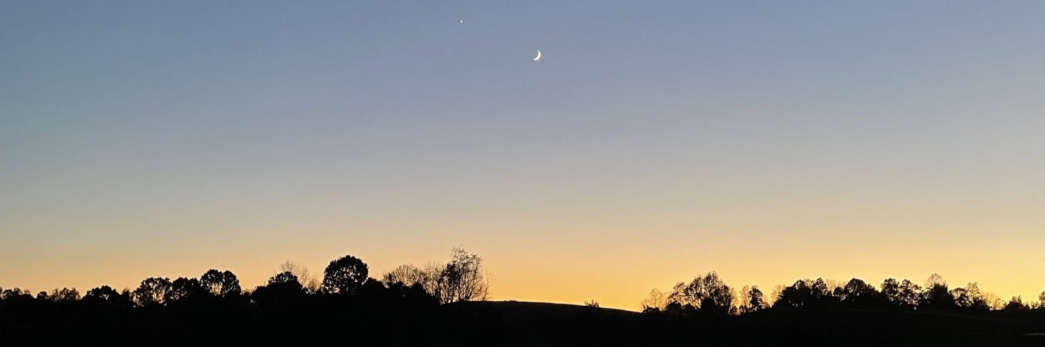 csteelereilly's profile banner image
