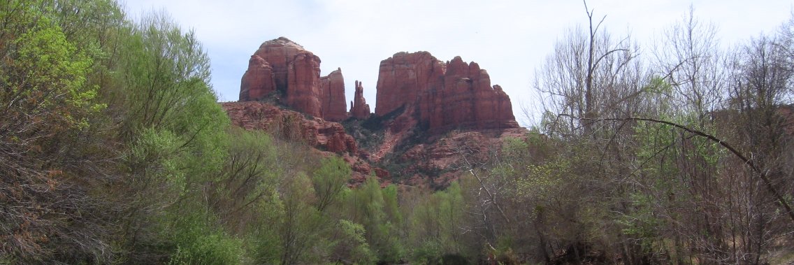 Eileen O'Connor banner