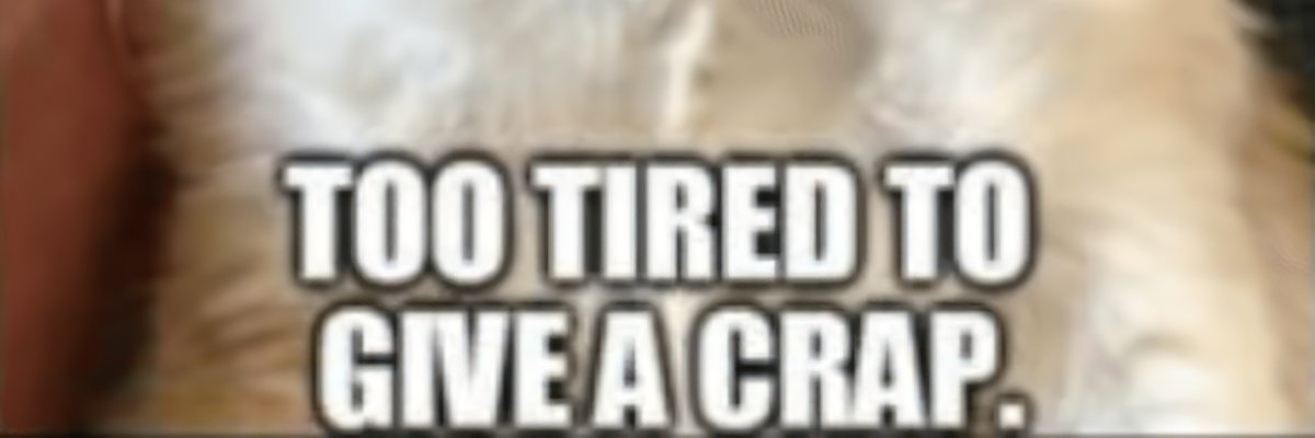 NTrailor's profile banner image