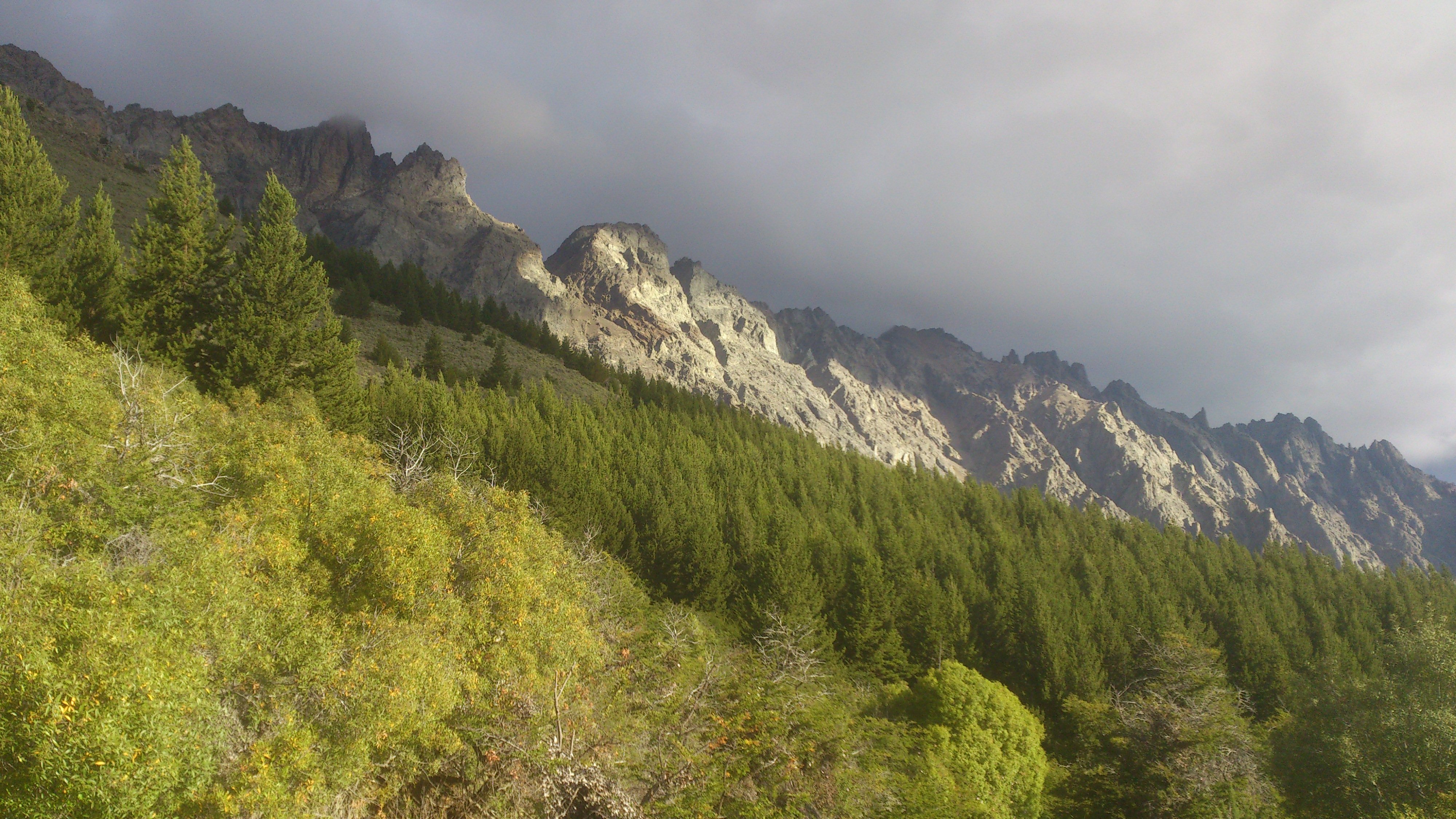 rodybernoldi's profile banner image